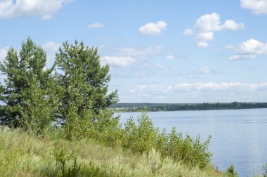 Yaz nehir sazlık ağaçlar gölgeliyor. Deniz, göl veya başka bir kanaldaki böyle dere akan su büyük bir doğal akışı.