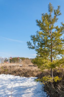 Petrol ve gaz endüstrisi. yağ pompası jack petrol sahası üzerinde çalışır. beyaz bulutlar ve mavi gökyüzü. Petrol pompası. Petrol ve gaz endüstrisi. yağ pompası jack petrol sahasındaki çalışmaları.