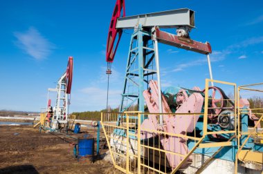 Ekoloji, canlıların. Yağ pompaları. Yağ sanayi donanımları. Işın pompa