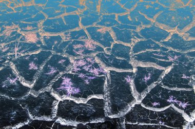 soyut, abstractive, akli faaliyetle ilgili, aşkın, kesikli, nonobje