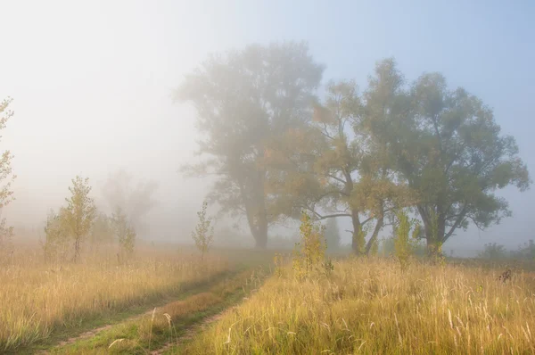 Herbst Herbst Blattfall Blattfall Die Dritte Jahreszeit Wenn Getreide Und — Stockfoto