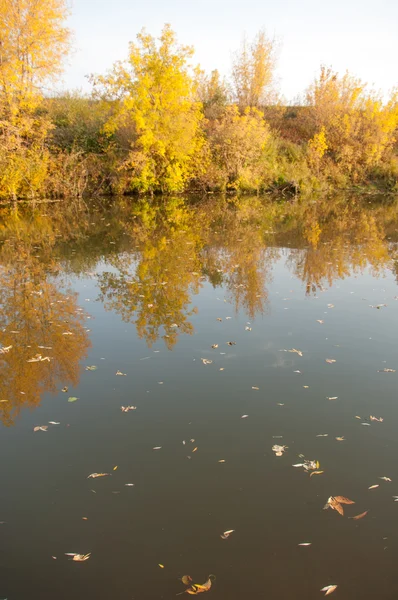 Autunno Autunno Caduta Delle Foglie Caduta Delle Foglie Terza Stagione — Foto Stock