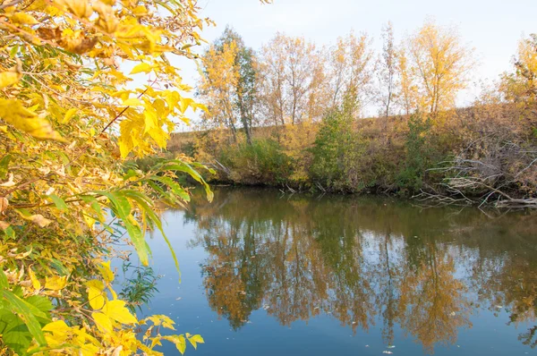 Otoño Otoño Caída Hoja Caída Hoja Tercera Temporada Del Año — Foto de Stock