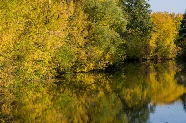 Чудовий Час Падіння Золоте Листя Теплі Дні — стокове фото