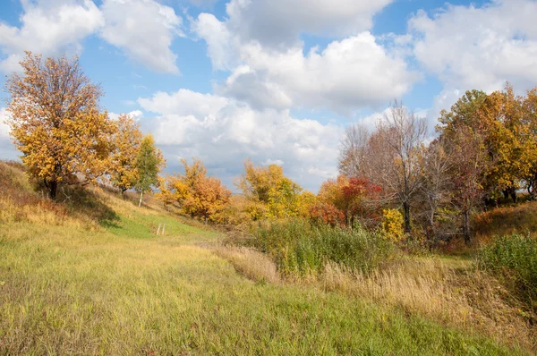 Wonderful Time Fall Golden Leaves Warm Days — Stock Photo, Image