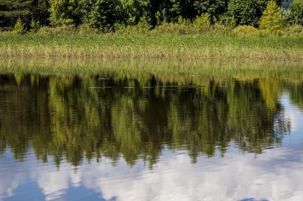 Летние Облака Река Камышовка Большой Естественный Поток Воды Текущий Канале — стоковое фото