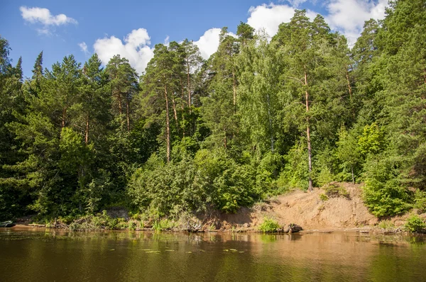 Letní Mraky Řeky Rákosí Stromy Velký Přirozený Proud Vody Tekoucí — Stock fotografie
