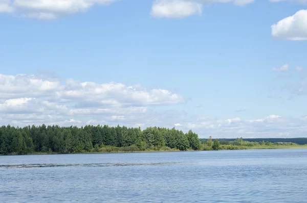 Nubes Verano Río Cañas Árboles Una Gran Corriente Natural Agua — Foto de Stock