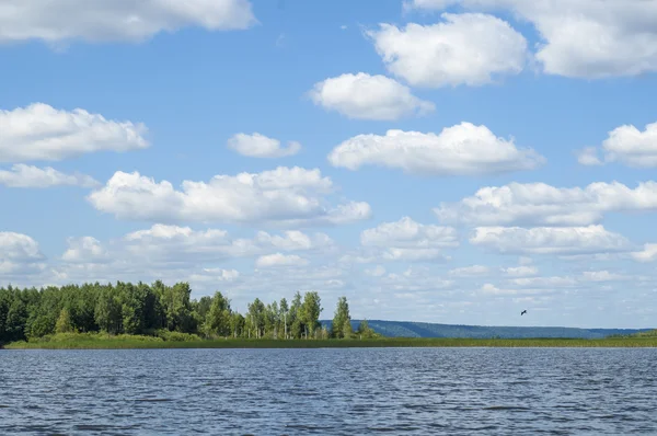 Nubes Verano Río Cañas Árboles Una Gran Corriente Natural Agua — Foto de Stock