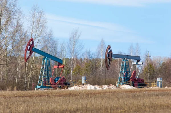 Ecology Bionomics Oil Pumps Oil Industry Equipment Beam Pumping Unit — Stock Photo, Image