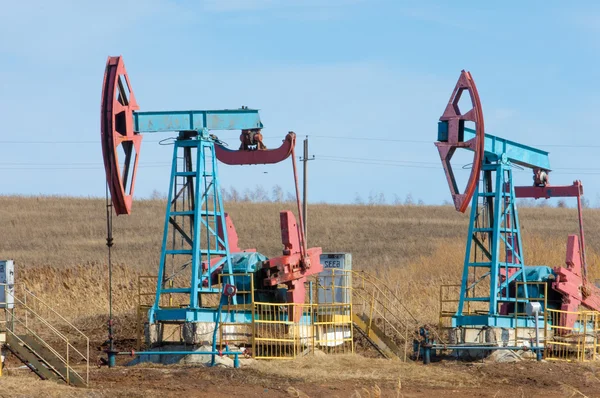 生态学 生物学特性 燃油泵 石油工业设备 梁抽股石油和天然气 — 图库照片