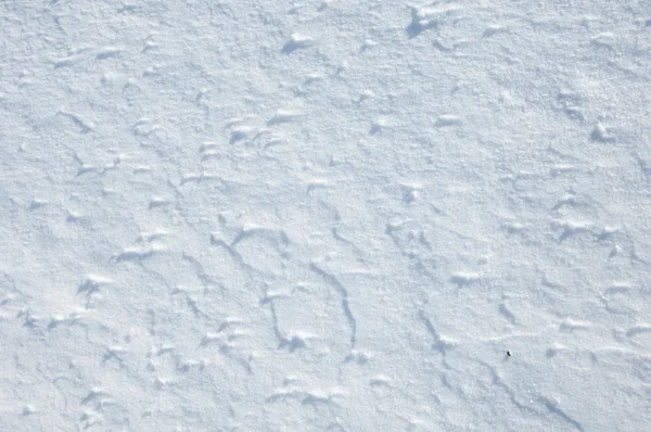 雪の上のパターン テクスチャです 本文の空スペースでテクスチャ背景 — ストック写真