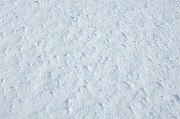 Patterns on the snow. Texture. background. snow - textured background with empty space for text