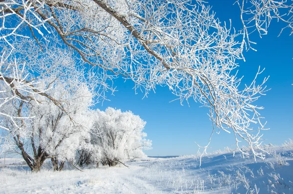 Gelo Del Sole Invernale Freddo Deposito Piccoli Cristalli Ghiaccio Bianchi — Foto Stock