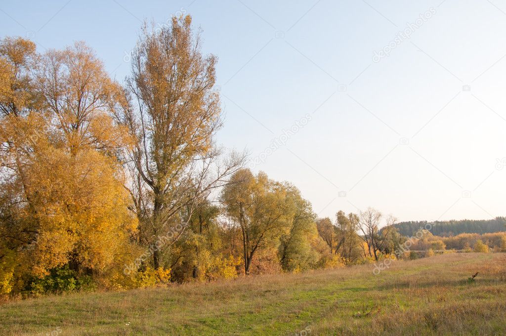 autumn, fall, leaf fall, fall of the leaf. the third season of the year, when crops and fruits are gathered and leaves fall
