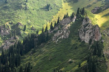 güzel dağlar. Doğa, seyahat 
