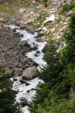 güzel dağlar. Doğa, seyahat 