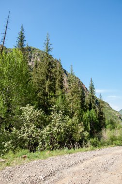 Tien Shan dağlar. Takma Yaylası. Turgen gorge. Zailiyskoe Alatau, plato Assy Turgen
