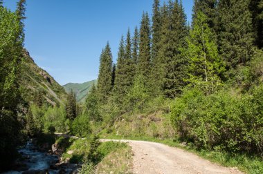 Tien Shan dağlar. Takma Yaylası. Turgen gorge. Zailiyskoe Alatau, plato Assy Turgen