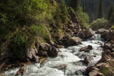 Tien Shan dağlar. Takma Yaylası. Turgen gorge. Zailiyskoe Alatau, plato Assy Turgen
