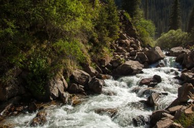 Tien Shan dağlar. Takma Yaylası. Turgen gorge. Zailiyskoe Alatau, plato Assy Turgen