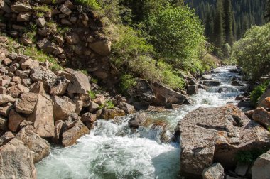 Tien Shan dağlar. Takma Yaylası. Turgen gorge. Zailiyskoe Alatau, plato Assy Turgen