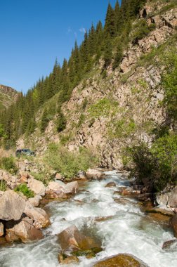 Tien Shan dağlar. Takma Yaylası. Turgen gorge. Zailiyskoe Alatau, plato Assy Turgen