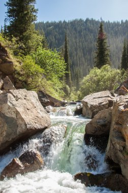 Tien Shan dağlar. Takma Yaylası