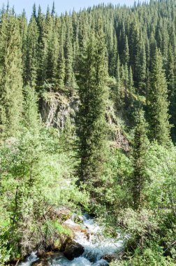 Tien Shan dağlar. Takma Yaylası. Turgen gorge. Zailiyskoe Alatau, plato Assy Turgen