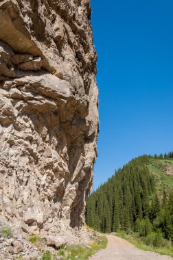 Tien Shan dağlar. Takma Yaylası. Turgen gorge. Zailiyskoe Alatau, plato Assy Turgen
