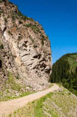 Tien Shan dağlar. Takma Yaylası. Turgen gorge. Zailiyskoe Alatau, plato Assy Turgen