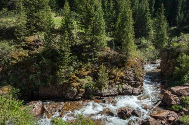Tien Shan dağlar. Takma Yaylası. Turgen gorge. Zailiyskoe Alatau, plato Assy Turgen