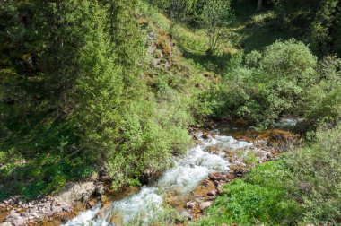 Tien Shan dağlar. Takma Yaylası. Turgen gorge. Zailiyskoe Alatau, plato Assy Turgen