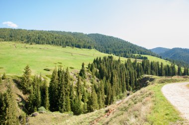 Tien Shan dağlar. Takma Yaylası. Turgen gorge. Zailiyskoe Alatau, plato Assy Turgen