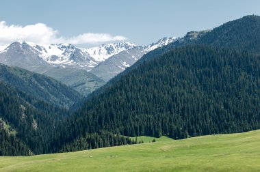 Tien Shan dağlar. Takma Yaylası. Turgen gorge. Zailiyskoe Alatau, plato Assy Turgen