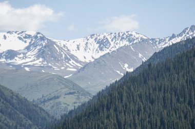 Tien Shan dağlar. Takma Yaylası