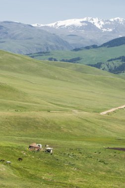 dağ, dağ, tepe. Kazakistan. Tien Shan. Takma Yaylası