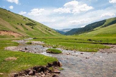 dağ, dağ, tepe. Kazakistan. Tien Shan. Takma Yaylası
