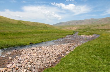 dağ, dağ, tepe. Kazakistan. Tien Shan. Takma Yaylası