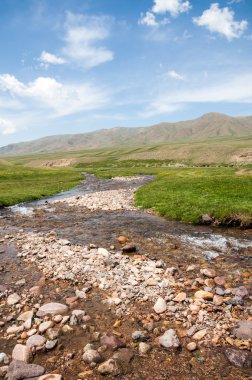 dağ, dağ, tepe. Kazakistan. Tien Shan. Takma Yaylası