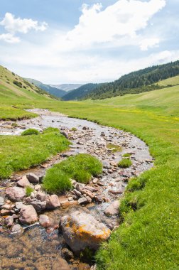 dağ, dağ, tepe. Kazakistan. Tien Shan. Takma Yaylası