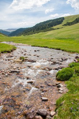 dağ, dağ, tepe. Kazakistan. Tien Shan. Takma Yaylası
