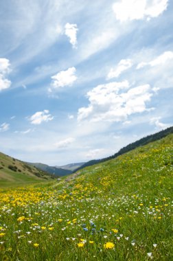 dağ, dağ, tepe. Kazakistan. Tien Shan. Takma Yaylası