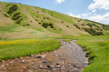 dağ, dağ, tepe. Kazakistan. Tien Shan. Takma Yaylası