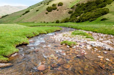 dağ, dağ, tepe. Kazakistan. Tien Shan. Takma Yaylası