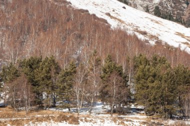 Kazakistan. Tien shan. dağ manzaralı güzel bir manzara. Kış akşam.