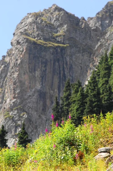 Bellissime Montagne Natura Viaggi — Foto Stock