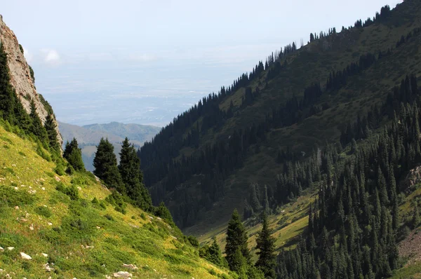 Berge — Stockfoto