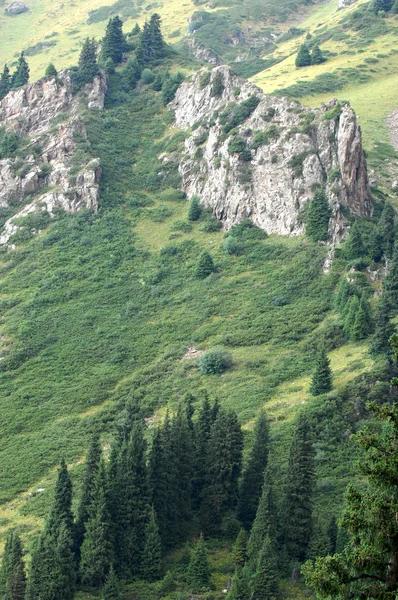 Prachtige Bergen Natuur Reizen — Stockfoto