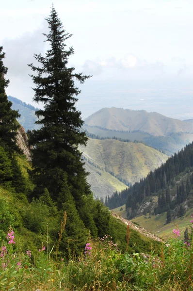 Bellissime Montagne Natura Viaggi — Foto Stock